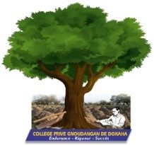 COLLEGE PRIVE GNOUDANGAN DE DOKAHA